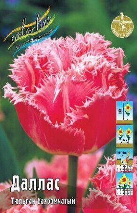 Даллас 11/12 (бахр.) 7шт