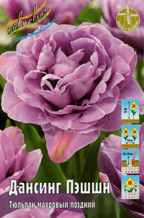 Дансинг Пэшшн 11/12 (махр.поздн) 5шт