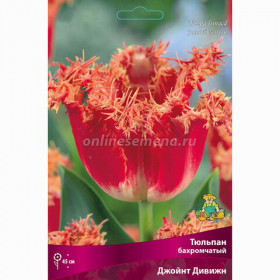 Джоинт Дивижн 11/12 (бахр.) 7шт