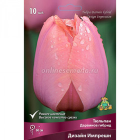 Дизайн Импрешшн 10/11 (дарв.) 10шт