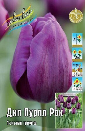 Дип Пурпл Рок 11/12 (триумф) 7шт