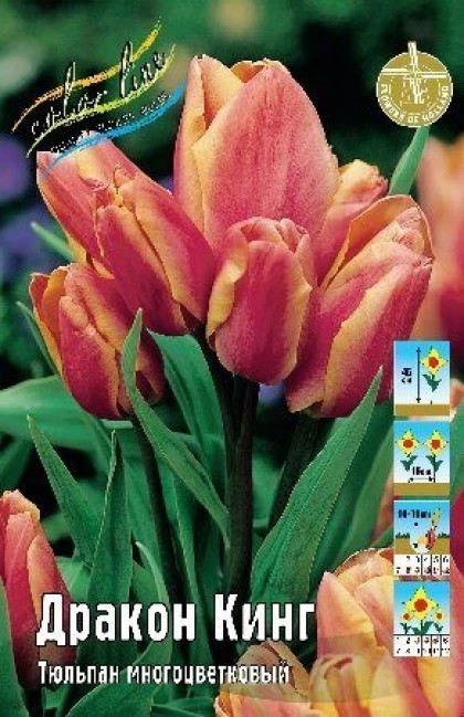 Дракон Кинг 11/12 (мнгцв.) 7шт