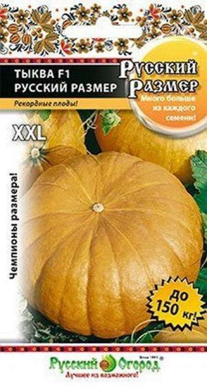 Русский размер (3шт) Ц(Н)