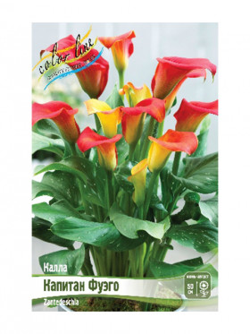 Капитан Фуэго 2шт