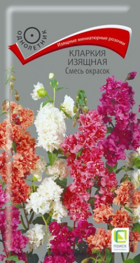 Смесь окрасок Ц(Поиск) кларкия