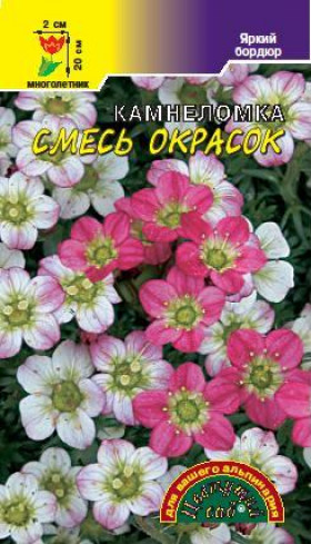 Смесь окрасок/Цветущий Сад