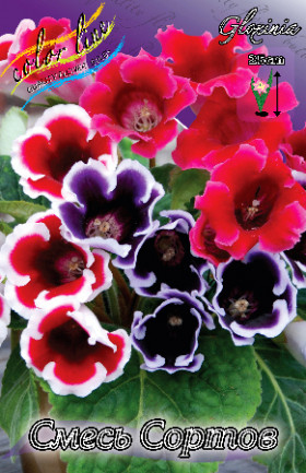 Смесь Сортов 2шт