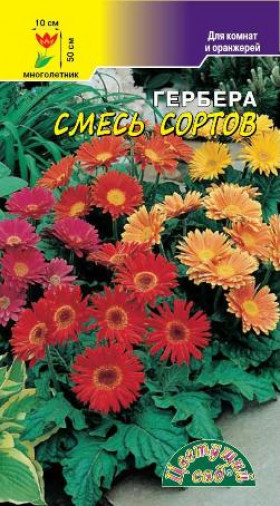Смесь сортов/Цветущий Сад гербера