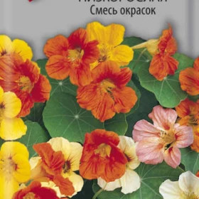 Смесь Ц(Поиск) настурция