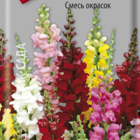 Смесь Ц(Поиск) львиный зев