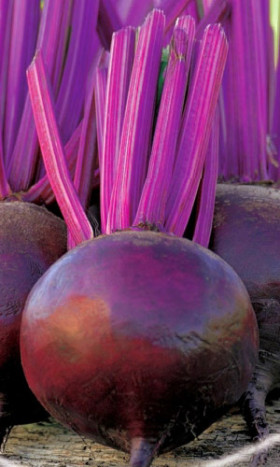 Бикорес 250шт /Элитные семена