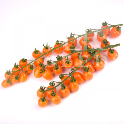 Марцано 3шт/ Элитные семена