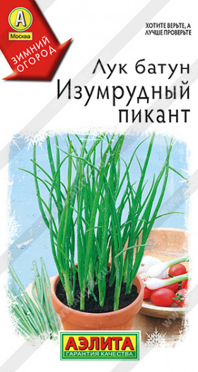 Батун Изумрудный пикант Ц(А)