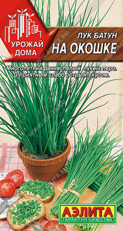 Батун На окошке Ц(А)