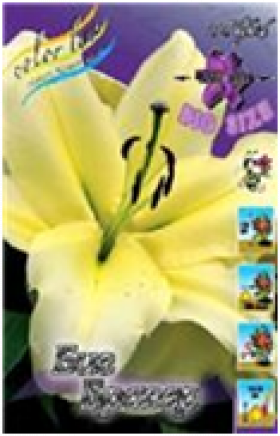 Биг Бразер (ОТ)  5шт