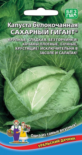 Сахарный гигант Ц(УД) капуста