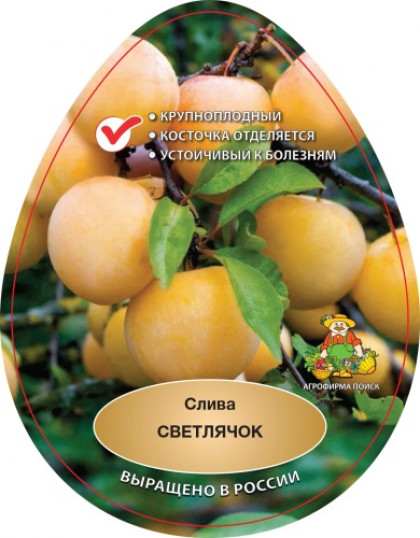 Светлячок 1шт Поиск