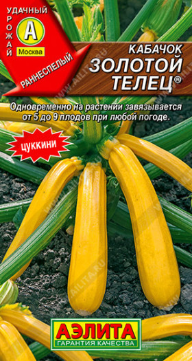 Золотой телец цуккини Ц(А)