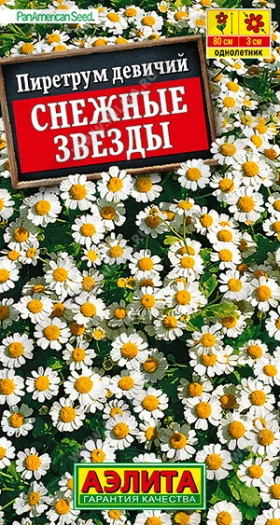 Снежные звезды Ц(А) пиретрум