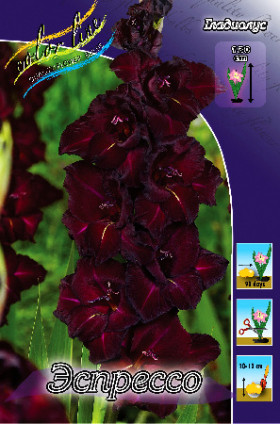 Эспрессо 10/12 8шт