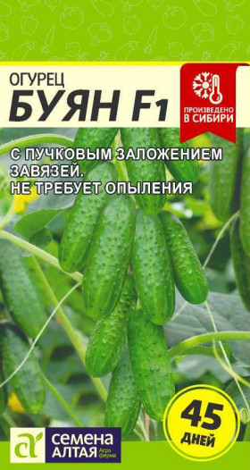 Буян 5шт Ц(Алт)