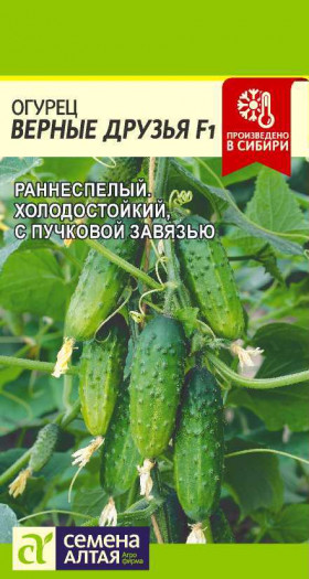 Верные друзья 5шт Ц(Алт)