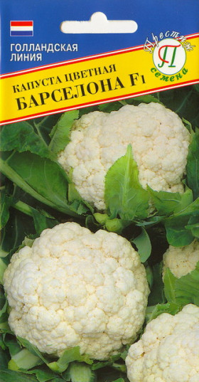 цветная Барселона Ц(П)