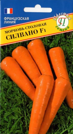 Силвано Ц(П)