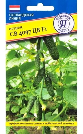 СВ 4097 Ц(П)