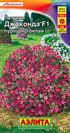 Джоконда пурпурно-белая Ц(А)