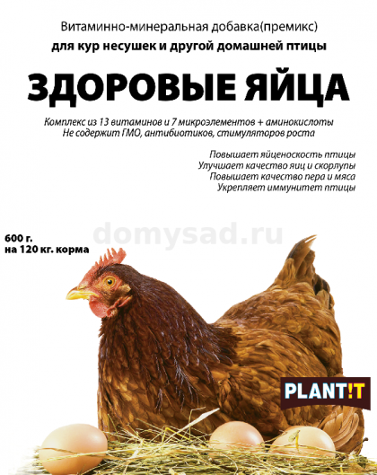 Здоровые яйца 600гр./25шт /PLANTIT