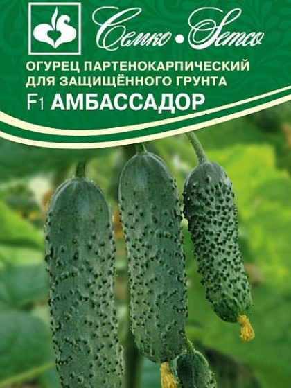 Амбассадор Семко