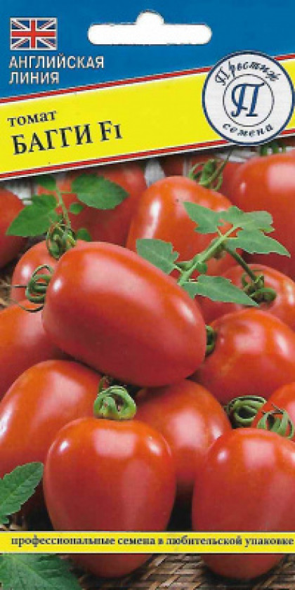 Багги 10шт Ц(П)