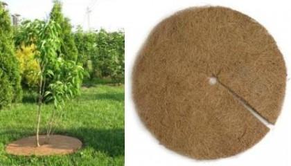 Стволовой круг из кокосового волокна 30 см Шамилов