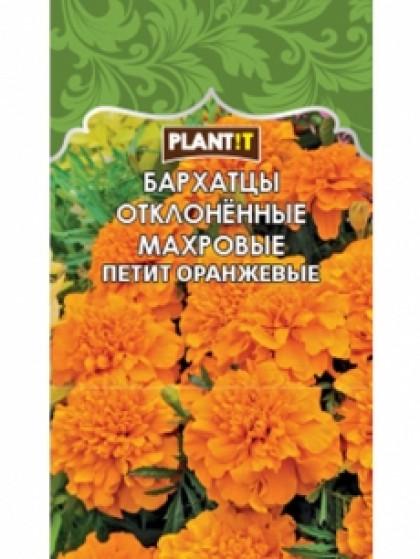 Бархатцы Петит оранжевые откл Plantit