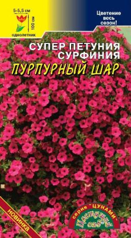 Сурфиния Пурпурный шар /Цветущий Сад