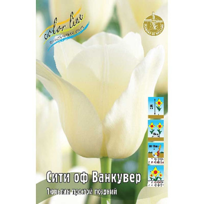 Сити оф Ванкувер 11/12 (пр.поздн.) 8шт