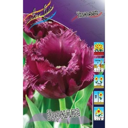 Горилла 11/12 (бахр.) 8шт