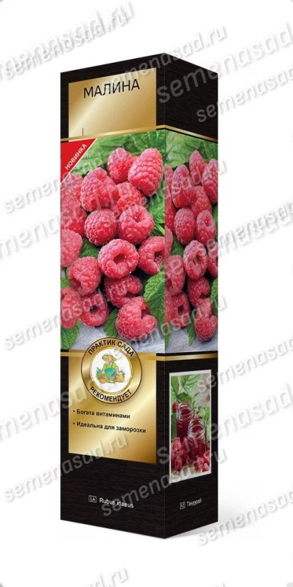 Нижегородец ремонтан. Поиск