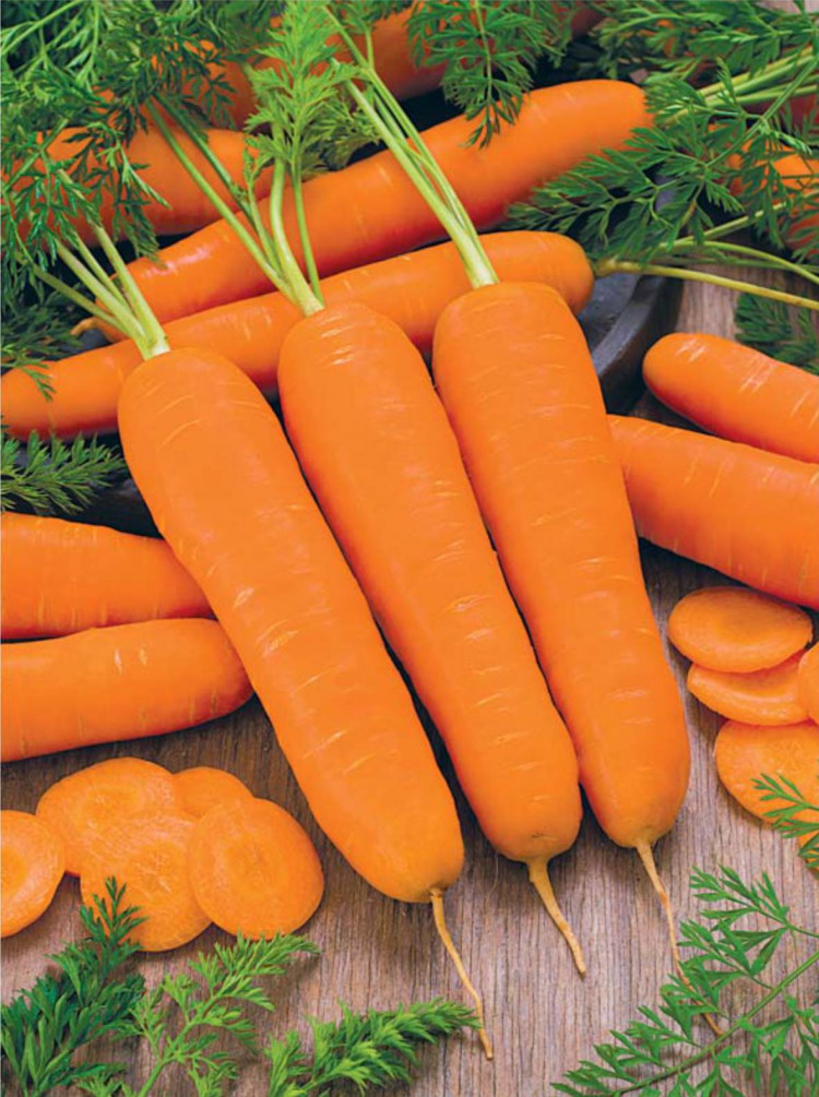 Лучшие сорта моркови для средней полосы. Балтимор f1 семена моркови. Морковь Балтимор f1. Морковь Балтимор семена. Морковь Абако Каприс.